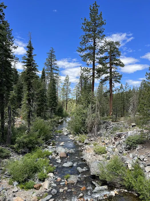 East Meadow Campground 5