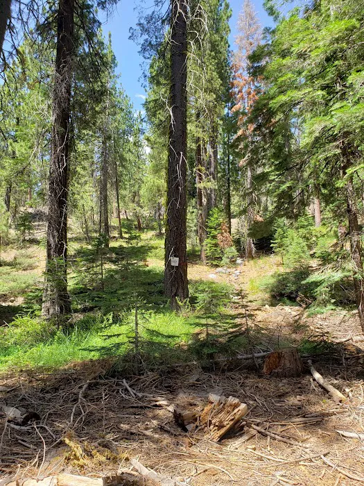 ASPEN GROUP (TAHOE) (recgovnpsdata) 5