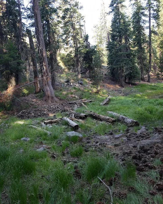 ASPEN GROUP (TAHOE) (recgovnpsdata) 6