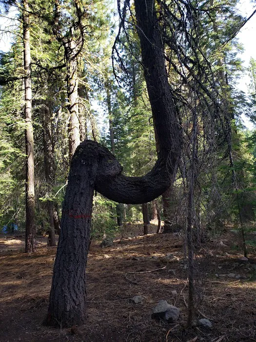 ASPEN GROUP (TAHOE) (recgovnpsdata) 0