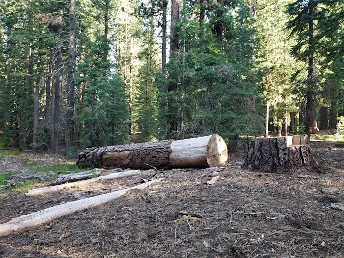 ASPEN GROUP (TAHOE) (recgovnpsdata) 1