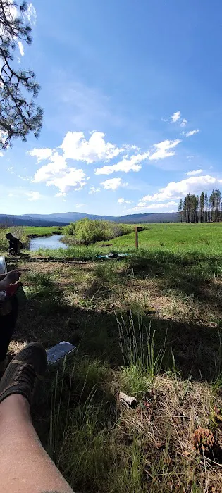 Yellow Creek Campground 5