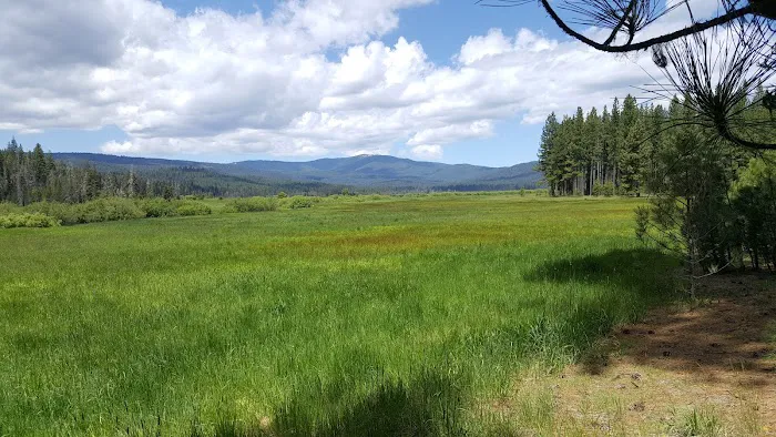 Yellow Creek Campground 4