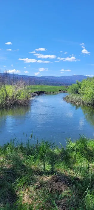 Yellow Creek Campground 3
