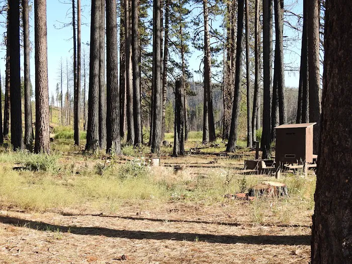 Yellow Creek Campground 7
