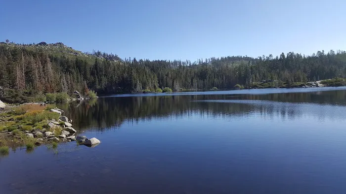North Fork Campground 2