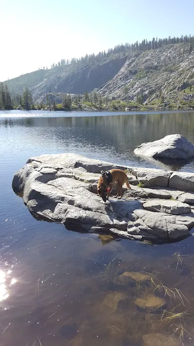 North Fork Campground 1