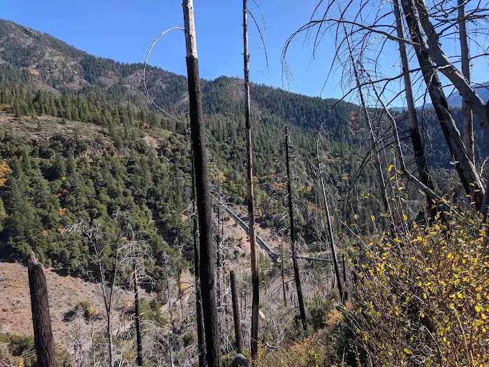 North Fork Campground 10