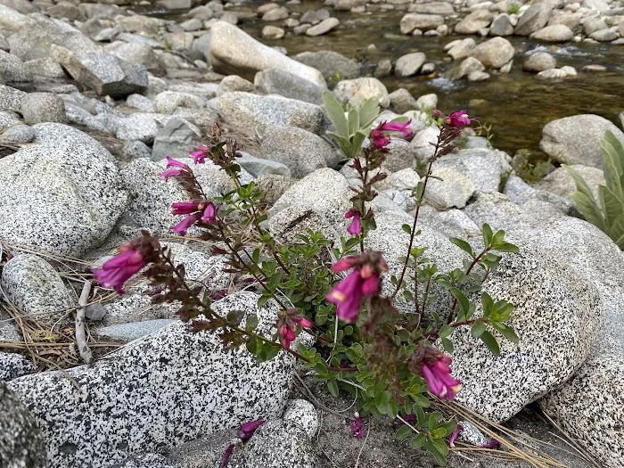 Mill Creek Campground 5