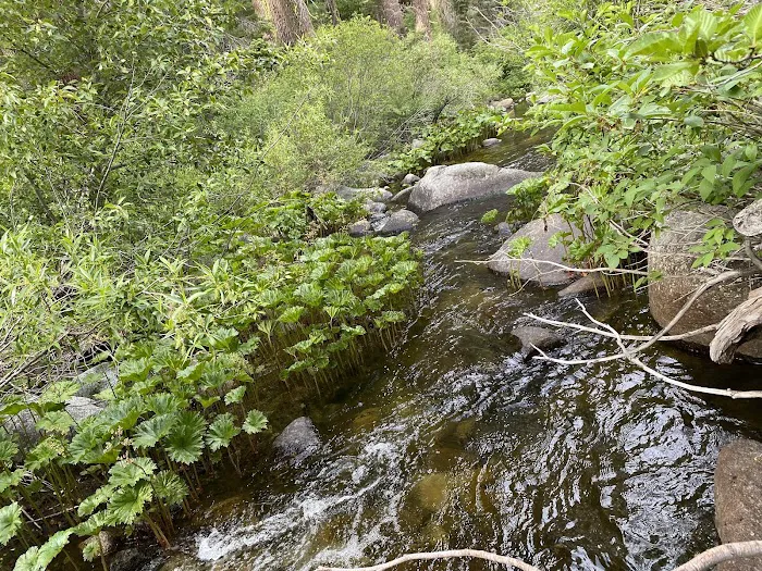 Mill Creek Campground 6