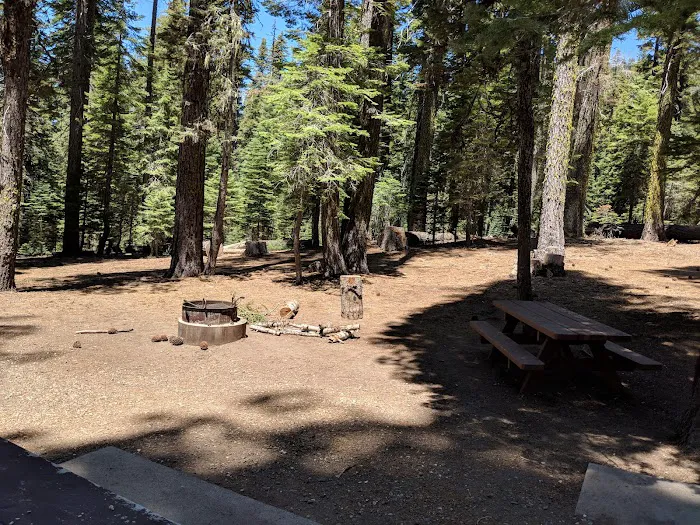 Hutchins Group Campground 1