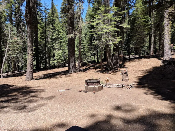 Hutchins Group Campground 6