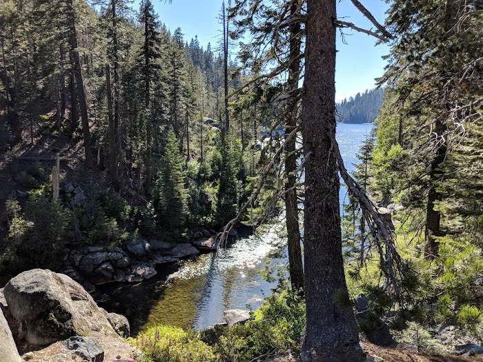 Hutchins Group Campground 4