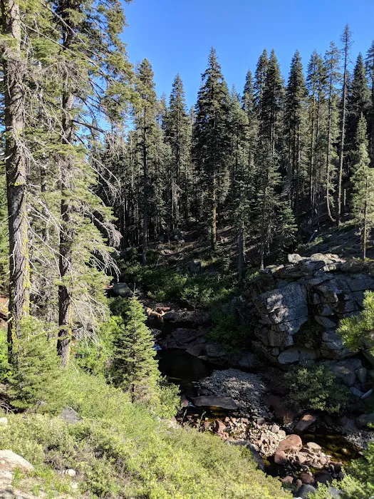 Hutchins Group Campground 2
