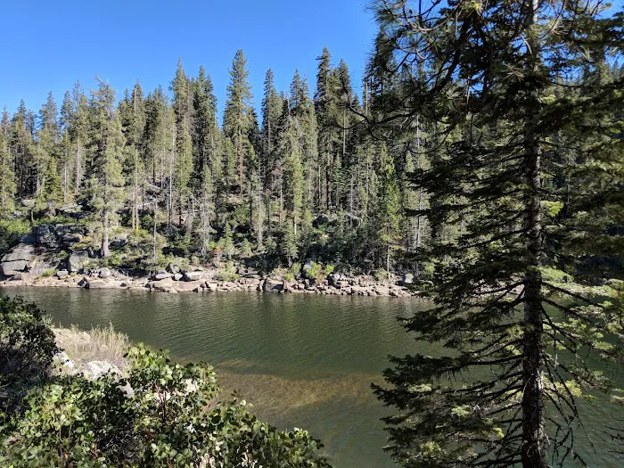 Hutchins Group Campground 5