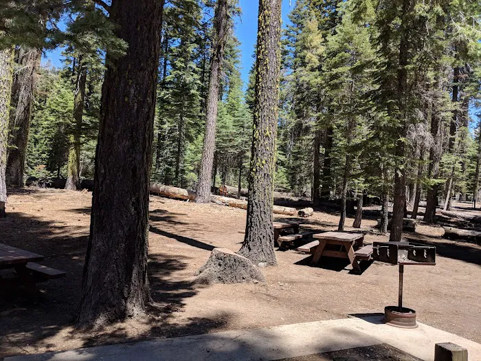 Hutchins Group Campground 7