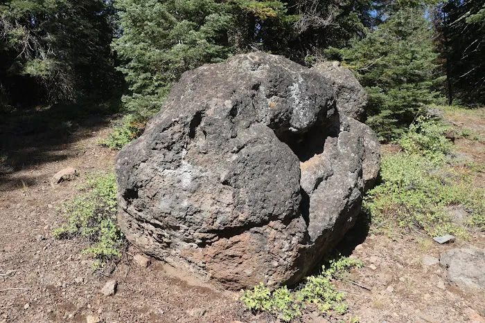 Little Grizzly Campground 1