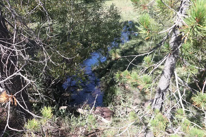 Little Grizzly Campground 7