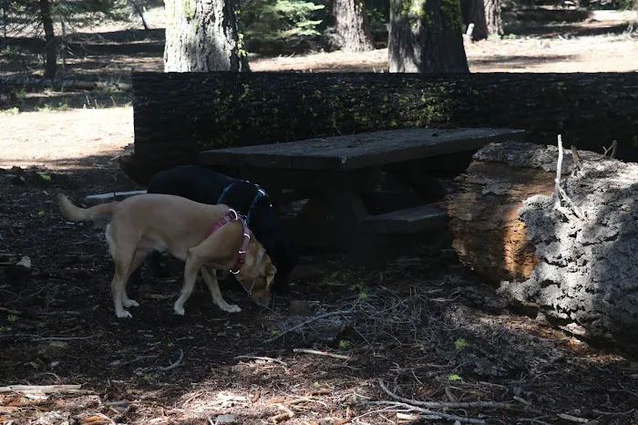Little Grizzly Campground 3