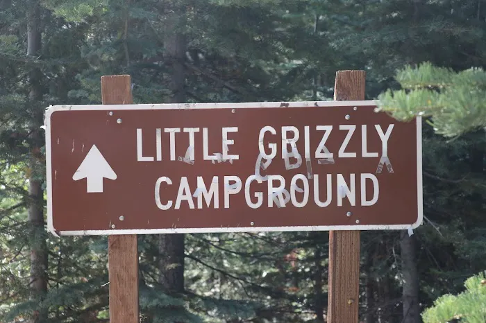Little Grizzly Campground 2