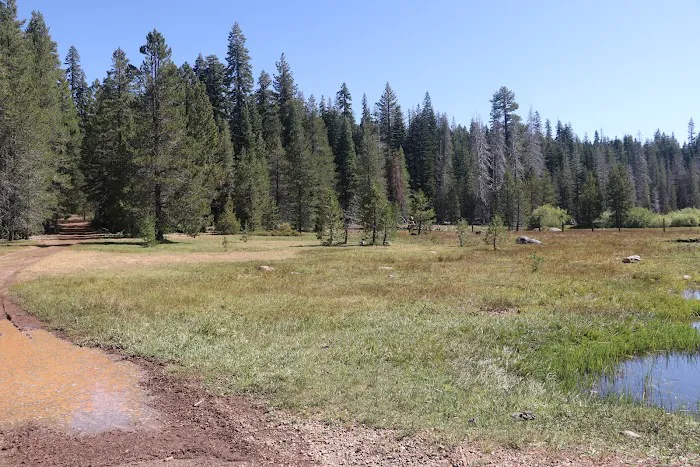 Little Grizzly Campground 0