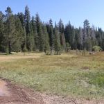 Little Grizzly Campground