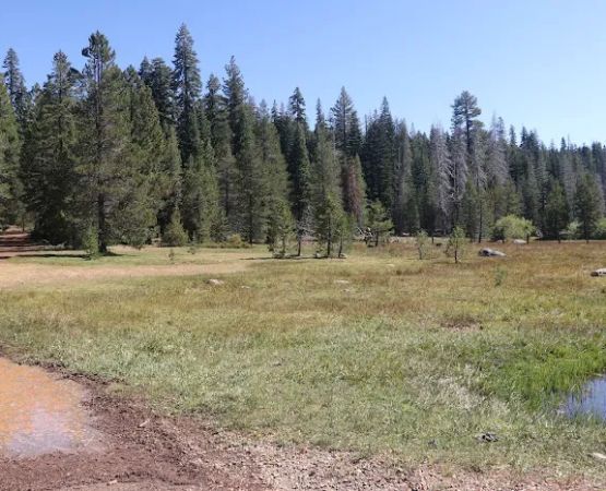 Little Grizzly Campground