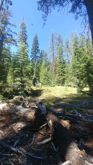 Little Grizzly Campground 9