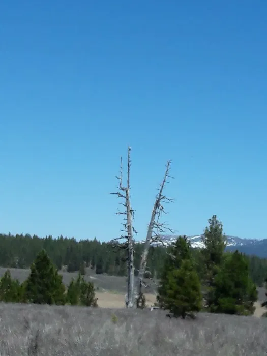 Prosser Ranch Group Campground 1