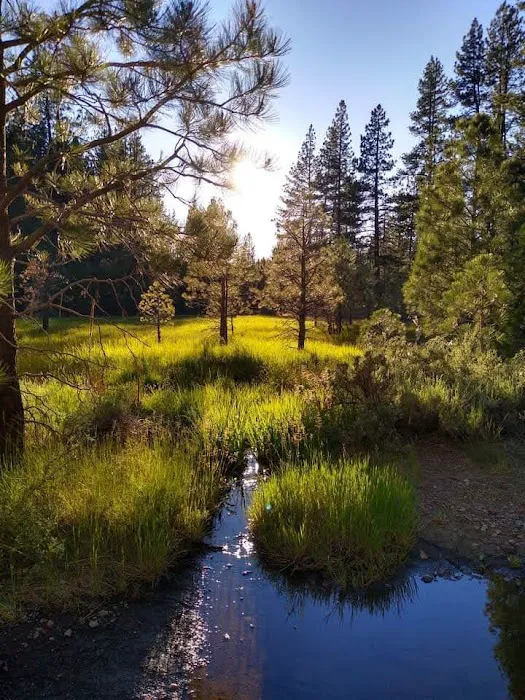 Boca Spring Campground 1