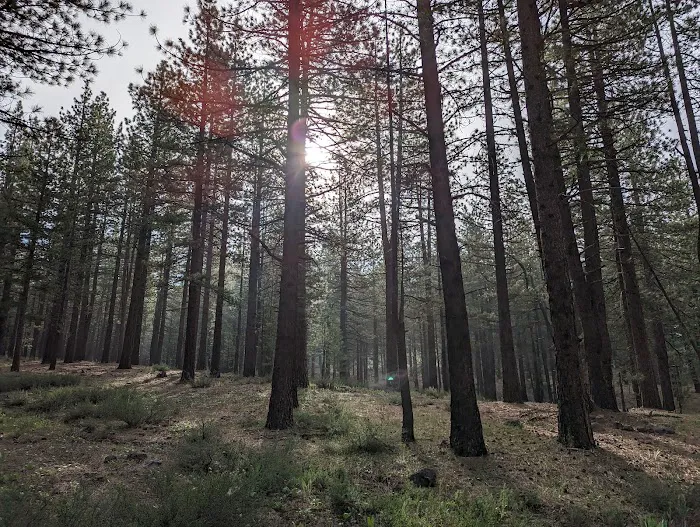 Boca Spring Campground 9