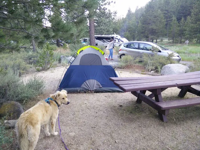 Boyington Mill Campground 7