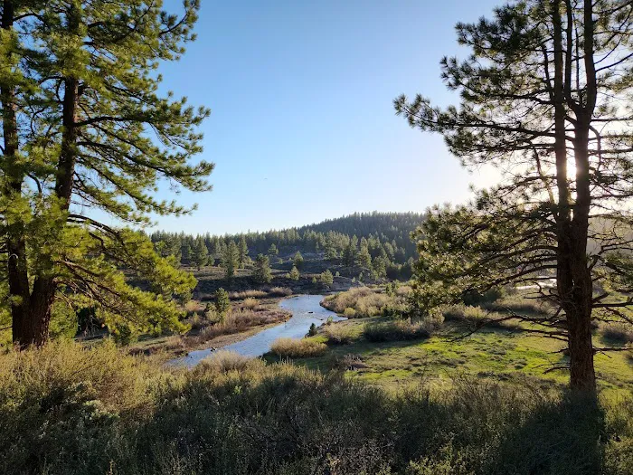 Boyington Mill Campground 1