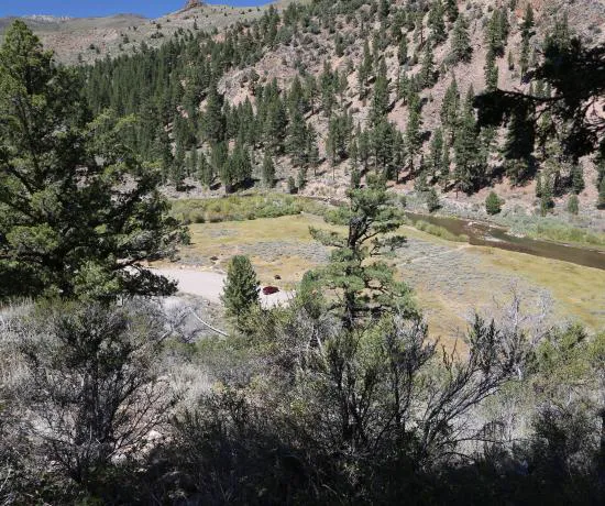 Sonora Bridge Campground 2