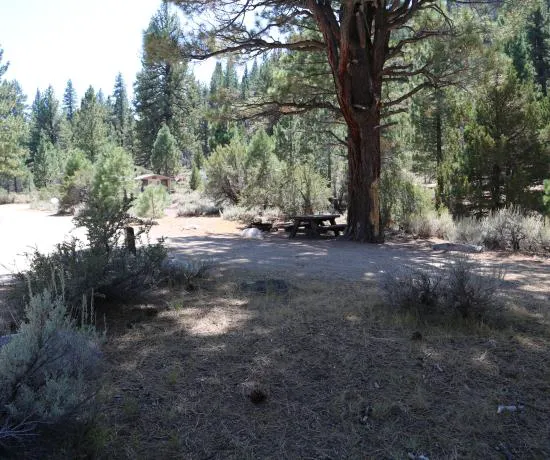 Sonora Bridge Campground 1