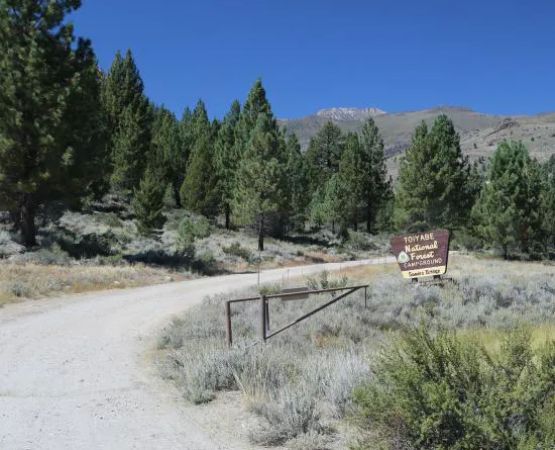Sonora Bridge Campground