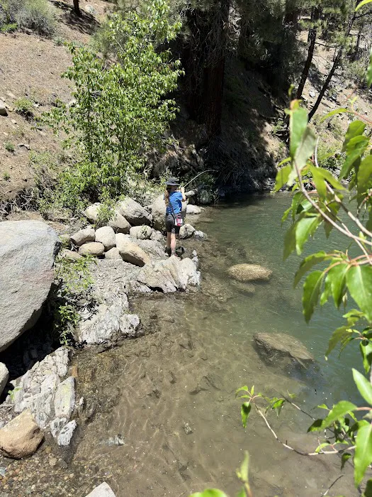 Leavitt Meadows Trailhead and Campground 2