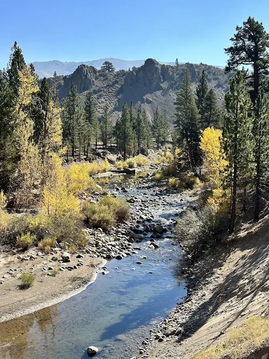 Leavitt Meadows Trailhead and Campground 8