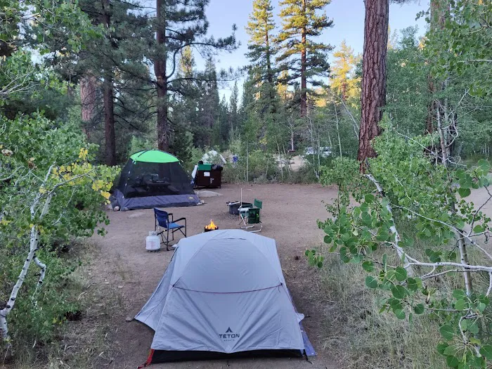 Leavitt Meadows Trailhead and Campground 5