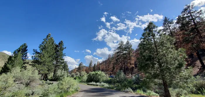 Chris Flat Campground 4