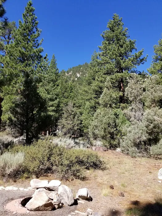 Bootleg Campground 1