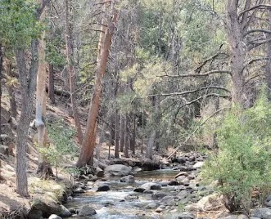 Buckeye Campground