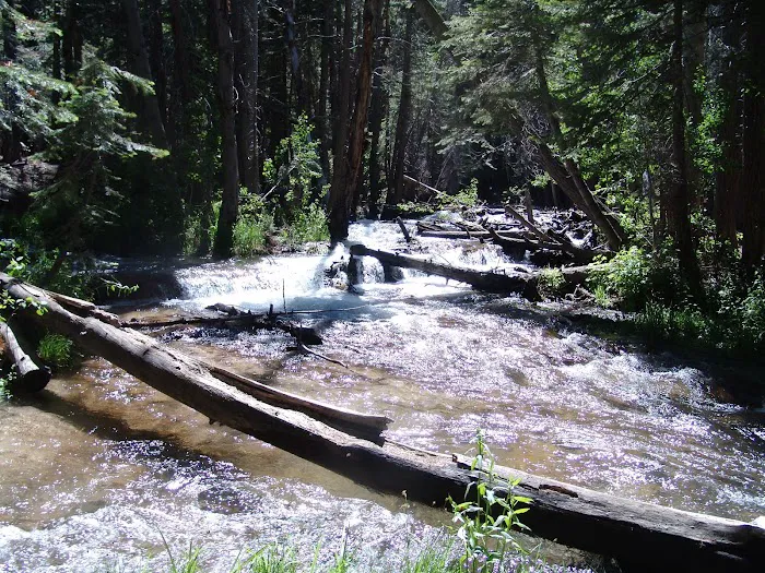 Buckeye Campground 4