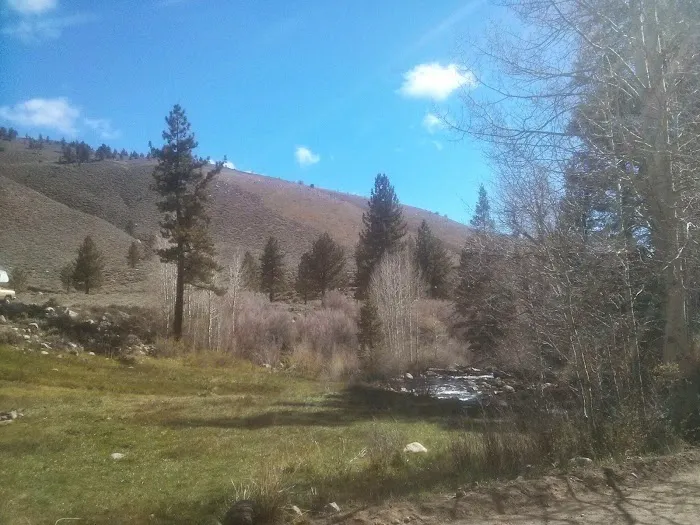 Buckeye Campground 9