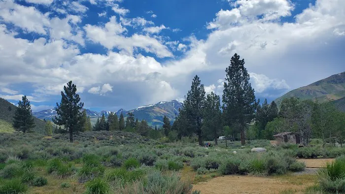 Honeymoon Flat Campground 1