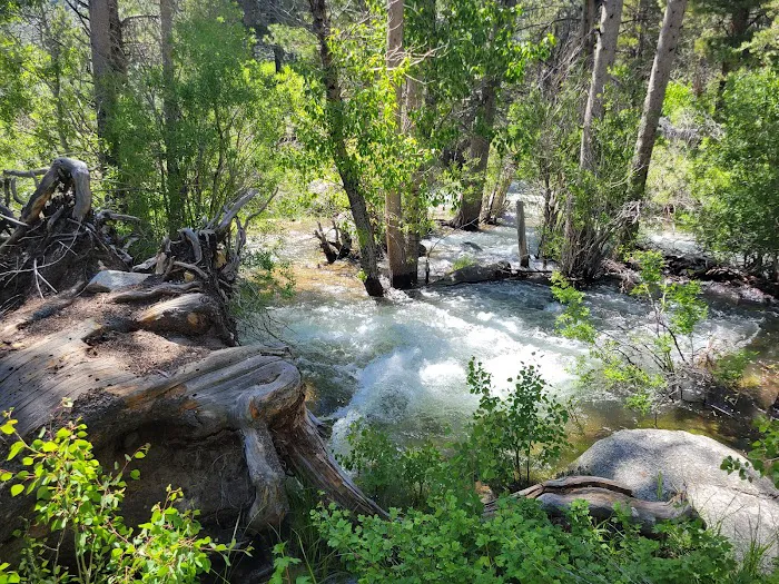 Honeymoon Flat Campground 4