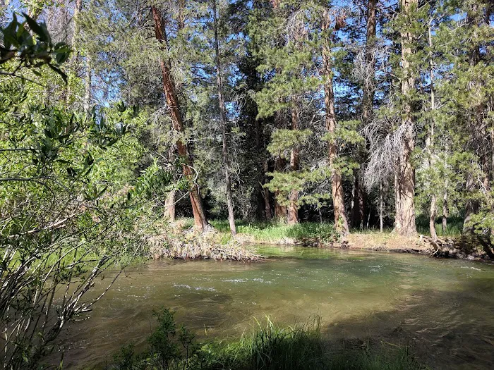 Honeymoon Flat Campground 9