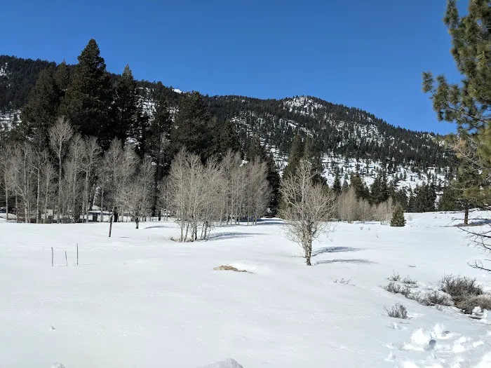 Honeymoon Flat Campground 7