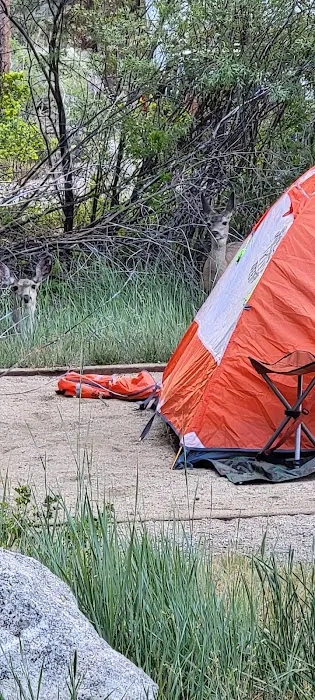 Honeymoon Flat Campground 3