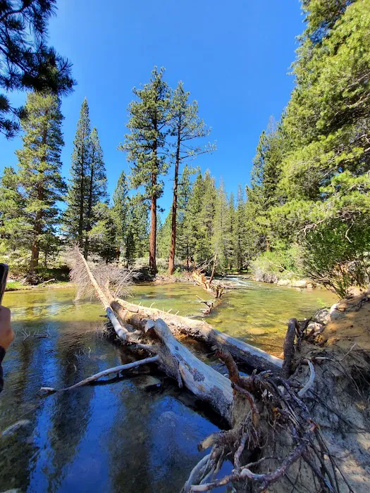 Robinson Creek North Campground 7